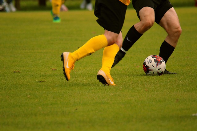 林诗栋的崛 林诗栋的崛