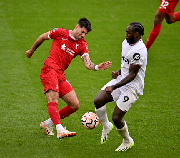 玛丽被这种 玛丽被这种